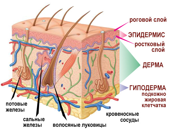 Клиника НЕОМЕД. Химические пилинги